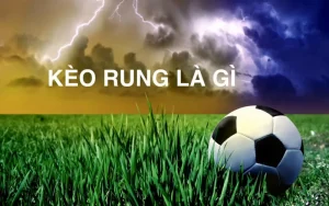 Khái niệm kèo rung là gì